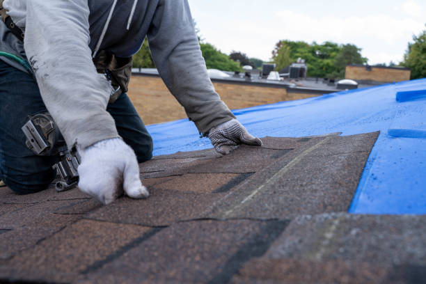 Quick and Trustworthy Emergency Roof Repair Services in Alma, GA