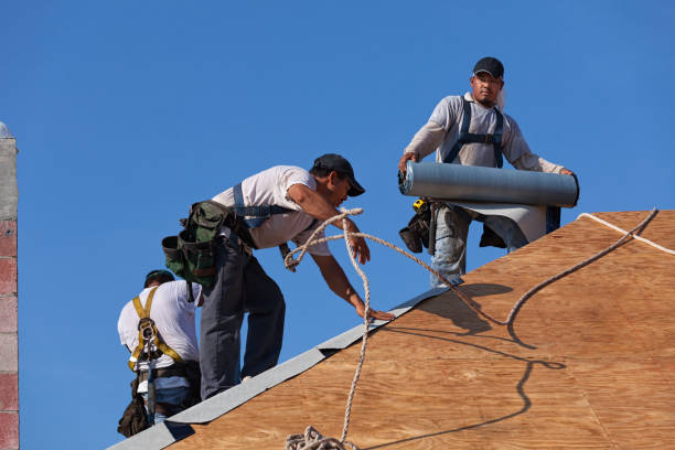 Best Roof Leak Repair  in Alma, GA