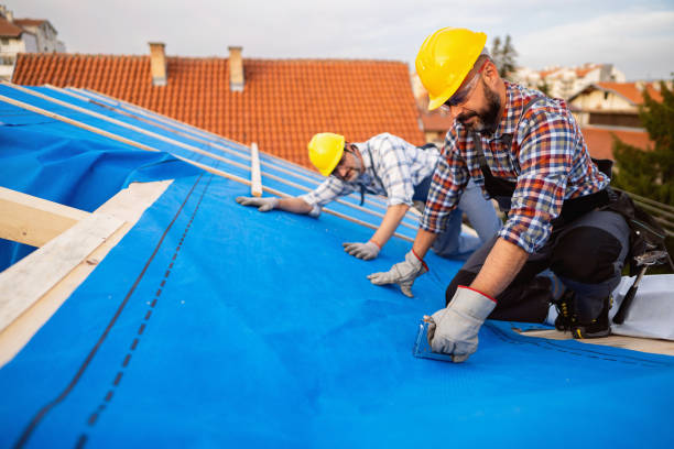 Best Roof Leak Repair  in Alma, GA