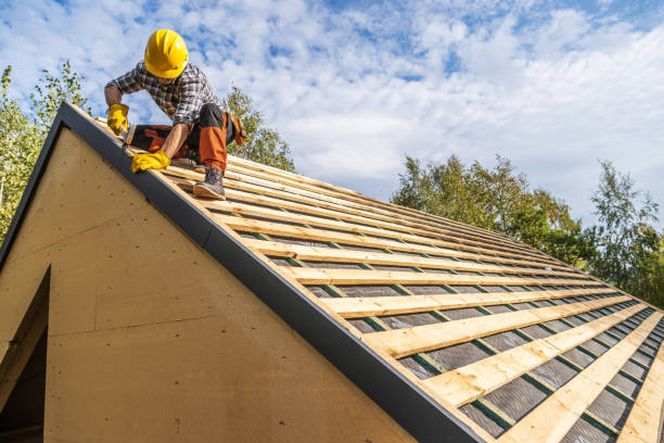Best Roof Gutter Cleaning  in Alma, GA
