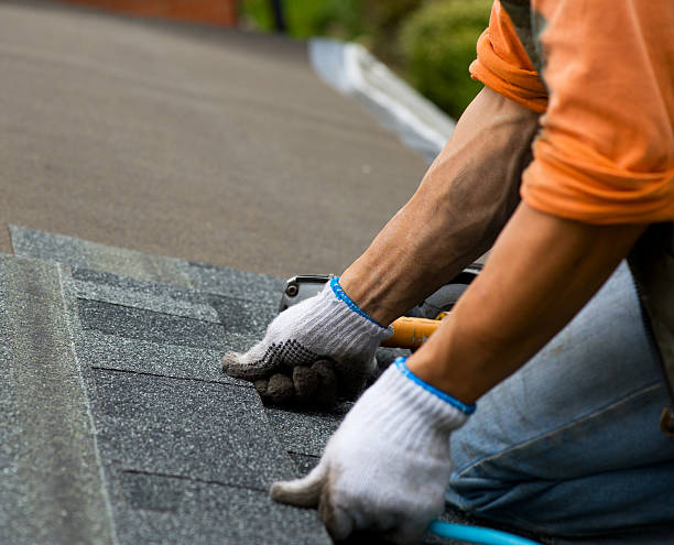 Best Gutter Installation and Roofing  in Alma, GA