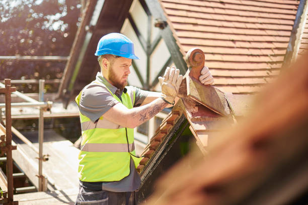 Best Local Roofing Companies  in Alma, GA