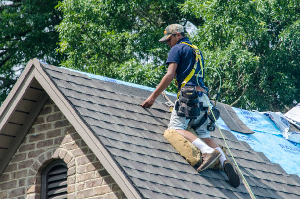 Best Local Roofing Companies  in Alma, GA